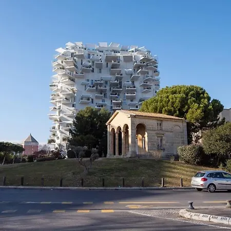 Appartement T2 A L'Arbre Blanc Montpellier Exterior photo