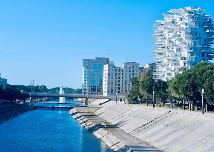 Appartement T2 A L\'Arbre Blanc